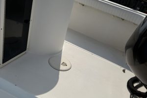 IMG_5522